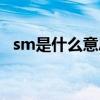 sm是什么意思代表什么（sm是什么意思）