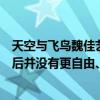 天空与飞鸟魏佳艺歌词（歌词是、天空灰得像哭过离开你以后并没有更自由、是哪首歌哦）