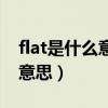 flat是什么意思中文翻译怎么读（flat是什么意思）