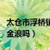 太仓市浮桥镇金浪中学官网（太仓有个地方叫金浪吗）