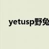 yetusp野兔视频（为什么野兔养不活呢）