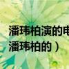 潘玮柏演的电视有哪些（有什么电视剧是关于潘玮柏的）