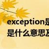 exception是什么意思中文翻译（exception是什么意思及反义词）