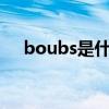 boubs是什么意思（BOOBS什么意思）