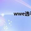 wwe选手hbk（WWE选手角色）