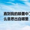 直到我的膝盖中了一箭含义（“直到我膝盖中了一箭”是什么意思出自哪里）