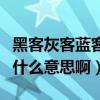 黑客灰客蓝客红客闪客（黑客、红客、蓝客是什么意思啊）