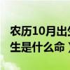 农历10月出生的兔（2016年农历10月初二出生是什么命）