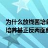 为什么放线菌培养基正反两面颜色不一样呢（为什么放线菌培养基正反两面颜色不一样）