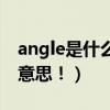 angle是什么意思中文翻译（ANGLE 是什么意思！）