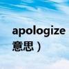 apologize 是什么意思（Apologize是什么意思）