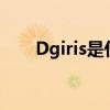 Dgiris是什么意思（iris是什么意思）