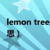 lemon tree是哪年的歌（lemon tree什么意思）