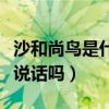 沙和尚鸟是什么鸟（沙和尚鸟是什么样子的能说话吗）