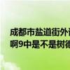 成都市盐道街外语学校（成都4中是不是成都实室外语学校啊9中是不是树德中学啊）