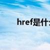 href是什么意思（a href 什么意思）