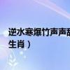 逆水寒爆竹声声辞旧岁奇遇怎么做（爆竹声声辞旧岁是什么生肖）