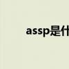 assp是什么的缩写（ASSP是什么）