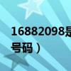 16882098是什么电话（16885885是什么的号码）