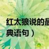 红太狼说的最多的一句话是什么（红太狼的经典语句）