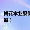 梅花伞业股份有限公司（什么是梅花伞啊求知道）