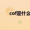 cof是什么材料（ＣＯＦ是什么意思）