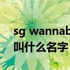 sg wannabe 成员（SGWANNABE成员都叫什么名字）