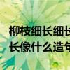 柳枝细长细长像什么造句一年级（柳枝细长细长像什么造句）