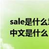 sale是什么意思英语翻译成中文（saleen的中文是什么）