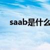 saab是什么车产地（SAAB是什么车啊）