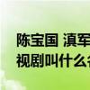 陈宝国 滇军（陈宝国主演的滇军师长这部电视剧叫什么名字）