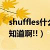 shuffles什么意思（SHUFFLE什么意思啊谁知道啊!!）