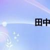 田中 打一字到底是哪个字