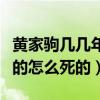 黄家驹几几年出生（黄家驹是哪年出生哪年死的怎么死的）