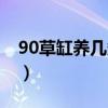 90草缸养几条七彩神仙鱼（90草缸养什么鱼）