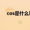 cos是什么意思（庄稼走佬是什么意思）