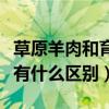 草原羊肉和育肥羊肉的区别（草原羊和育肥羊有什么区别）