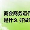 商会商务运作是不是国家政策（商会商务运作是什么 好做吗）