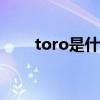 toro是什么鱼（TORO是什么意思）