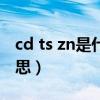 cd ts zn是什么意思（TS CD ZN分别什么意思）