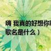 嗨 我真的好想你歌名叫（歌词第一句是嗨我真的好想你这首歌名是什么）