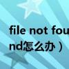 file not found you are now（file not found怎么办）