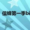 信蜂第一季bilibili（信蜂OP叫什么谁唱的）