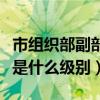 市组织部副部长是啥级别（市组织部长副部长是什么级别）