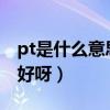 pt是什么意思（新出的黑骑士PRO和PT哪个好呀）