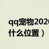 qq宠物2020（QQ宠物社区的星座密语是在什么位置）