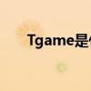 Tgame是什么文件（t game是什么）