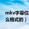 mkv字幕位置怎么调整（mkv文件字幕是什么格式的）