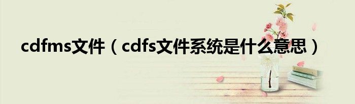 cdfms文件（cdfs文件系统是什么意思）