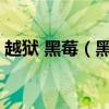 越狱 黑莓（黑雨越狱后能否使用IFUNBOX）